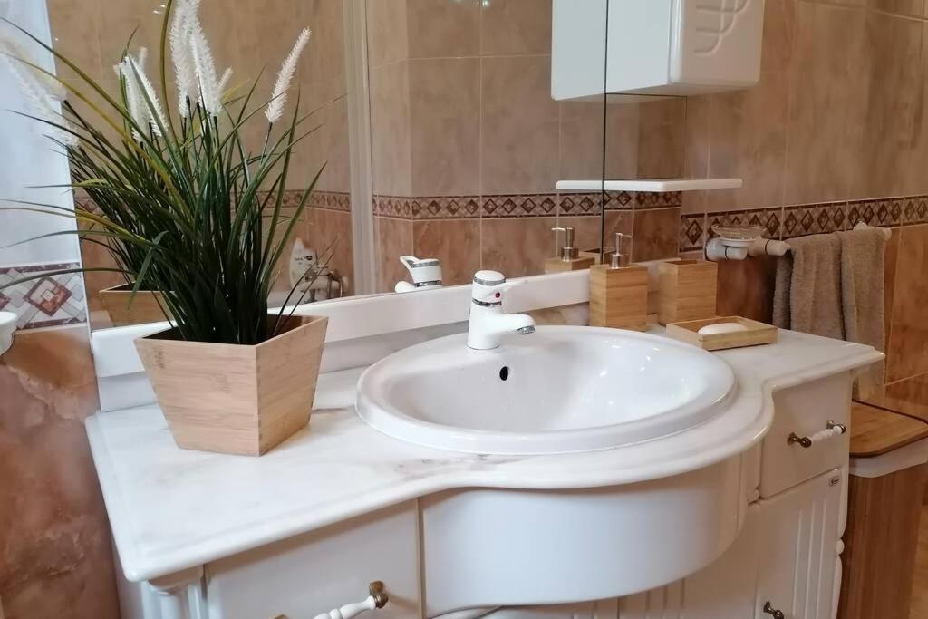 Refugio Do Seixoso Villa Celorico De Basto Eksteriør billede